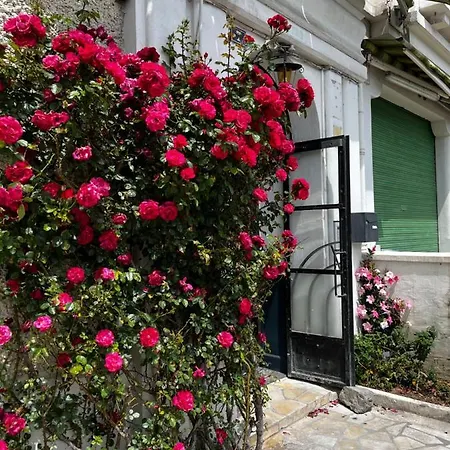 Apartamento T2 Bis Cosy Proche Gare Lourdes