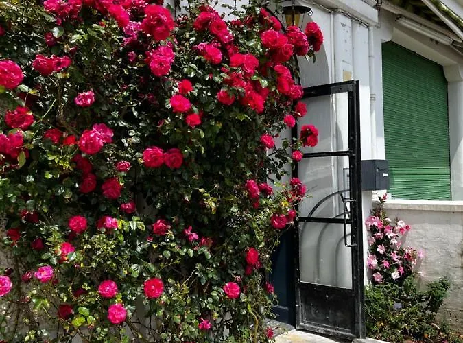 Apartamento T2 Bis Cosy Proche Gare Lourdes